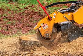 Best Stump Grinding and Removal  in Pasadena, MD