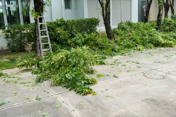 Best Weed Control  in Pasadena, MD